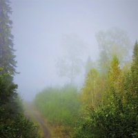 В утренний туман :: Сергей Чиняев 