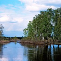 Половодье на реке Лух :: Сергей Курников