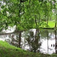 Царство зелени и воды :: Nordman 