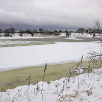 Зимняя река Ипуть :: оксана 