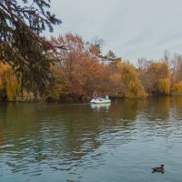 Осень в Гагаринском  парке :: Валентин Семчишин