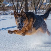 есть отрыв :: Александр Есликов