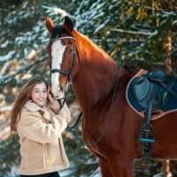 Милая девушка и высокая лошадь :: Ольга Семина