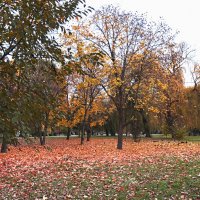 ОСЕНЬ ЗОЛОТАЯ :: Валентин Семчишин