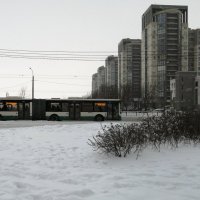Автобус в Санкт-Петербурге зимой :: Митя Дмитрий Митя
