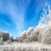Морозный день под небом голубым :: Анатолий Клепешнёв