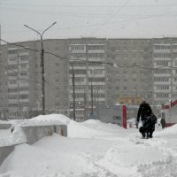 А снег всё валит. :: Николай Масляев