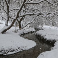 Зимнее :: Татьяна Панчешная