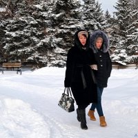 Мороз прогулкам не помеха! :-) :: Андрей Заломленков