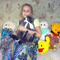 Любимые игрушки внучки! :: Елизавета Успенская