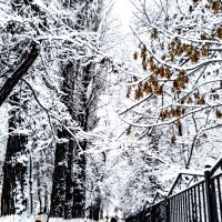 Прекрасная Зима :: ЕРБОЛ АЛИМКУЛОВ