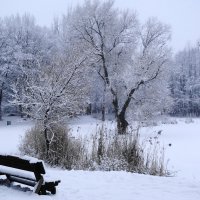 В зимнем парке :: Маргарита Батырева