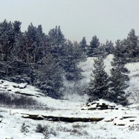 Зима . Восточный Казахстан . :: Мила Бовкун