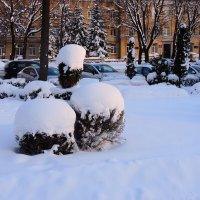 Зима в Ставрополе :: Александр 