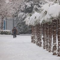 Зима в Ялте :: Сергей Титов