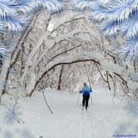 В сказке зимней... :: Андрей Заломленков