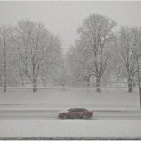 Снегопад. :: Валерия Комова