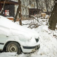 ЛЕСОПОВАЛ :: Сергей Янович Микк