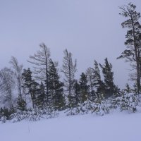 Зима :: Михаил Измайлов