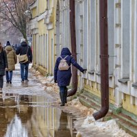 Трусы здесь не ходят. :: Анатолий. Chesnavik.