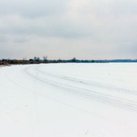 Зима и поле.. :: Юрий Стародубцев