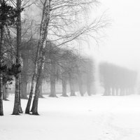 Зимой. :: Aлександр Клиновский
