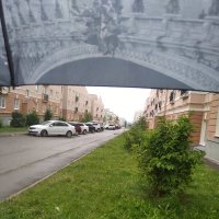 Дождь :: Алина Енгулатова