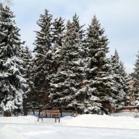 Встречает  март нас ясной и морозною погодой.. :: Андрей Заломленков