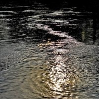 Солнечные блики на воде :: Восковых Анна Васильевна 