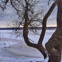 Зимний закат. :: Liudmila LLF
