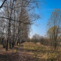 Московская осень... :: Владимир Жданов