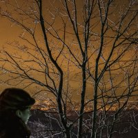 Серебристые блики на небе ночном ... :: Сергей Шатохин 