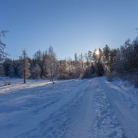 по снегу :: vladimir 