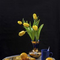 Желтые тюльпаны :: Лидия Суюрова
