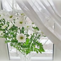 Цветы на окне в марте :: Ольга Елисеева