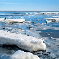 Ледоход на Белом море :: Сергей Курников