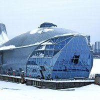 Серебряный кит на перехватывающей парковке :) :: Ирина Румянцева