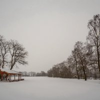 Белый парк :: Николай Гирш