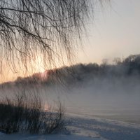 Туман. :: Людмила 