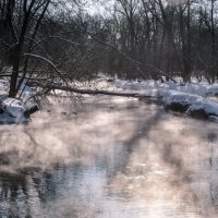 Морозный день. :: Владимир Безбородов