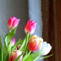 Цветы радости и весны . :: Мила Бовкун