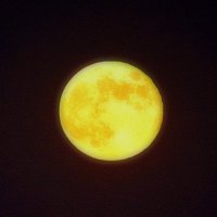 Луна в черном ночном квадрате :: Ольга (crim41evp)