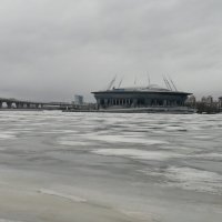 Стадион сегодня в Санкт-Петербурге :: Митя Дмитрий Митя