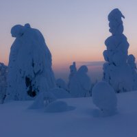 путники :: Евгений Тарасов 