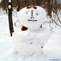 Прихорашиваются в марте и снеговики! :-) :: Андрей Заломленков