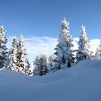Зима в Альпах :: Galina Solovova