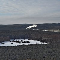 Весна до леса не дошла :: Владимир Рыбак