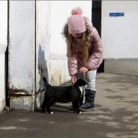 Дети и кошки  - неразлучные друзья! :: Татьяна Смоляниченко