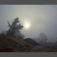 Туман :: SanSan 