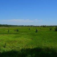 Новочеркасск. Заливные луга в пойме реки Грушевки. :: Пётр Чернега